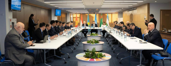 Страны Центральной Азии обсудили инициативу Казахстана по Рамочной водной конвенции