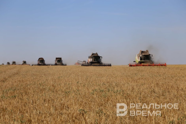 Марат Ахметов обратил внимание на стагнацию закупочных цен на зерно