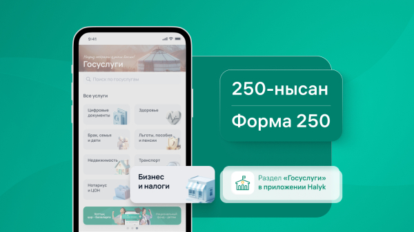 Что такое налоговая отчетность ФНО 250 и почему важно ее сдавать