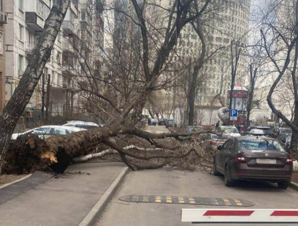 Ураган в Москве убил двоих человек