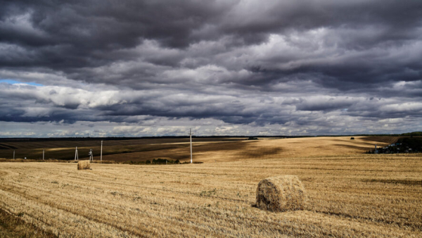 Татарстан и Беларусь начнут активнее использовать биржи для продажи сельскохозяйственной продукции 21/01/2026 &ndash; Новости