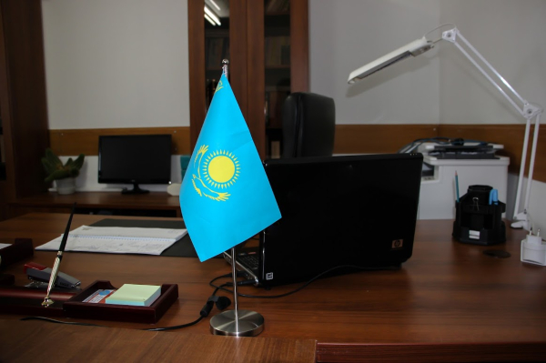 «Нельзя допускать кампанейщины»: Токаев – о процессе обновления кадров