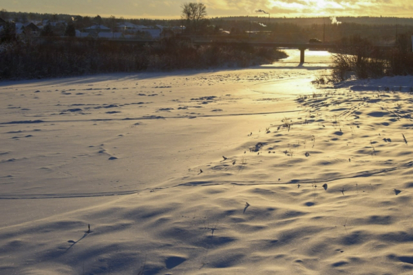 Арктический холод отступает: Кубай рассказал, как начнется февраль в Приморье