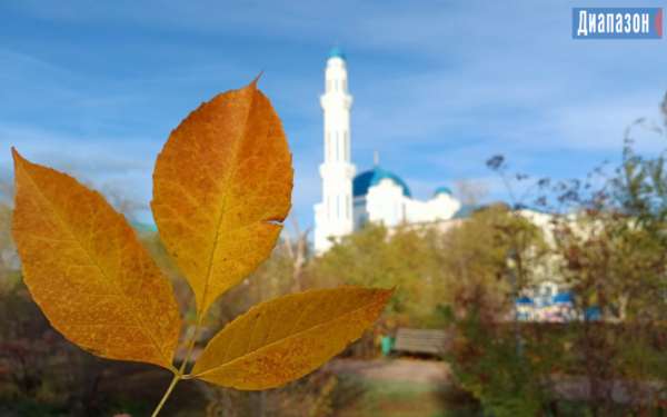 Погода в Актобе на 14-16 октября. В городе потеплеет