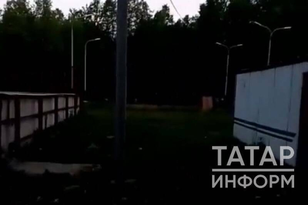 &laquo;Никто не помог! Хозяин стоял и смотрел!&raquo;: бультерьер изувечил девочку в РТ