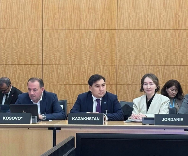 AI-навыки для госслужащих и &quot;Адал азамат&quot;: Казахстан выступил во Франции на ОЭСР