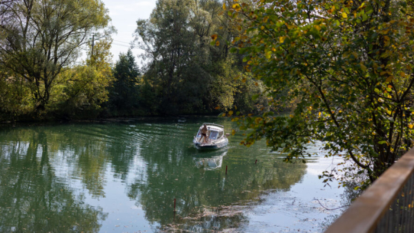 Печальная статистика: с начала года в Татарстане на воде погибли 13 человек 09/06/2026 &ndash; Новости
