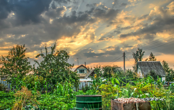 Зумеры ринулись скупать ветхие дачи из-за моды на сельский стиль