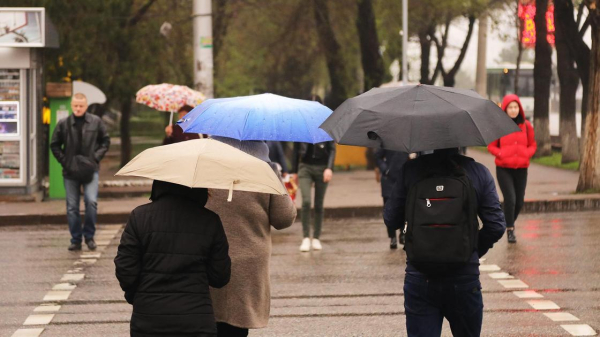 Сколько людей проживает в Казахстане: последние данные