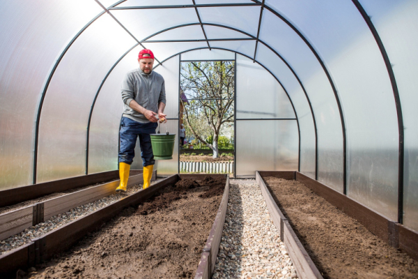 Что посадить на грядке в апреле, чтобы собрать богатый урожай