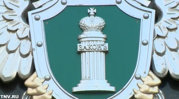 В Заинске водитель, забивший кота, лишился работы и может сесть на пять лет