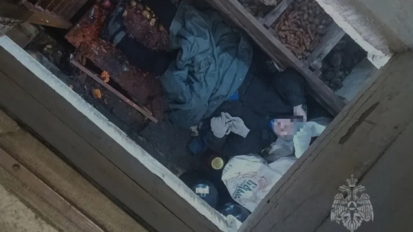 В Татарстане сотрудники МЧС спасли пенсионерку, провалившуюся в погреб 24/02/2026 &ndash; Новости