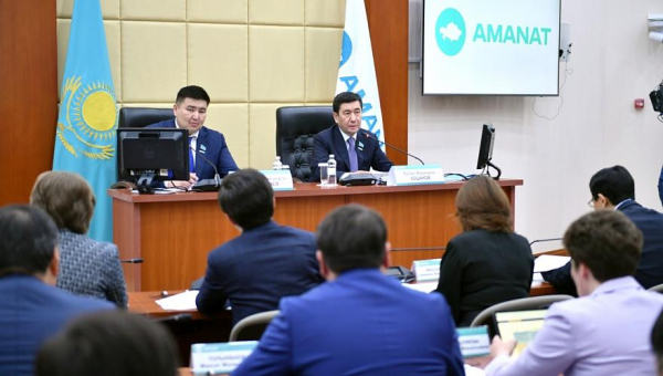 Фракция Amanat: У правительства нет четкого видения налоговой политики