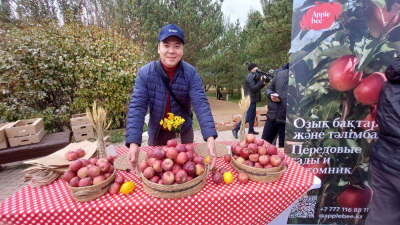 Вкус апорта в осеннем парке