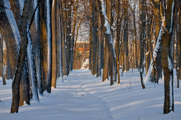 Завтра в&nbsp;Татарстане похолодает до&nbsp;минус 33 &ndash; в&nbsp;ГАИ призывают отказаться от&nbsp;дальних поездок