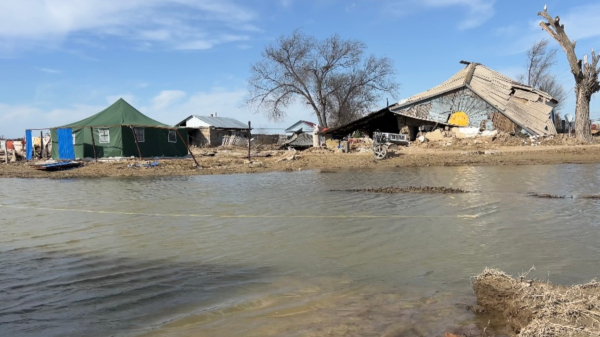 «Вода в один миг уничтожила нажитое годами». Разруха после наводнения в селе Каратал