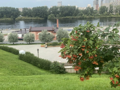 Гроза, дождь, похолодание: погода в первые дни августа в Тюменской области