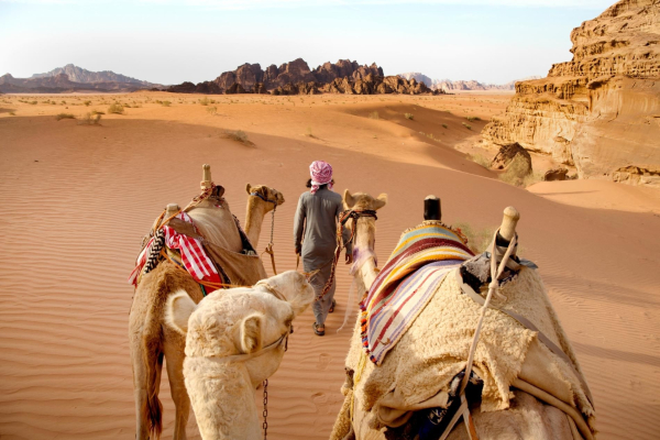 Ближний Восток может потерять до 56 млрд долларов из-за кризиса в туризме