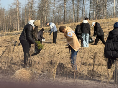 Лес ждёт тебя!