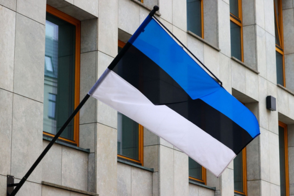Эстония попросила Украину не запускать беспилотники через нее
