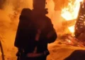 «Зоофест Эко» в «Казань Экспо»: фестиваль о бережном отношении к животным и природе
