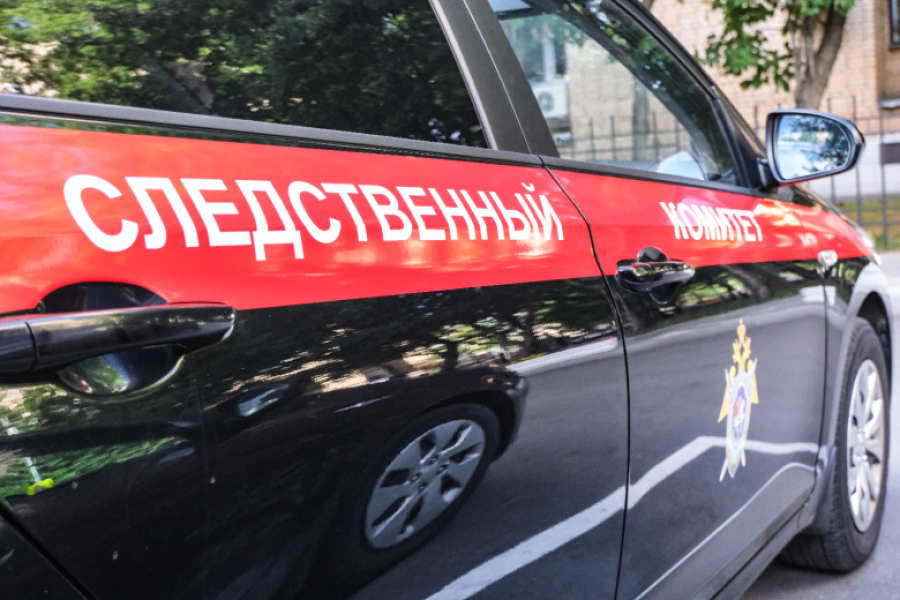 СК взялся за дело о пропаже девочки в Кузбассе